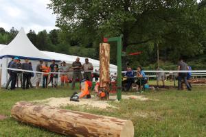 Zasek in podžagovanje